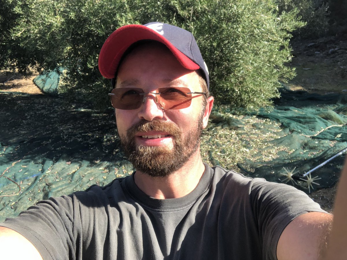 HotelSofia's tweet photo. Finally we finished the olives 💪😊 great year and the best olive oil 😊 https://t.co/4ty0JkoDJK