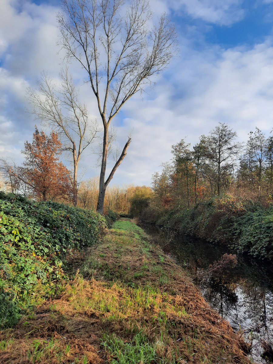 CorinavdWeiden's tweet photo. Ik vraag iedereen die van natuur houdt een zelfgenomen foto te plaatsen. Alleen foto, geen tekst. Doel is om beetje rust en balans in de negatieve sfeer te creëren. Doe je mee? Kopieer tekst en plaats natuurfoto op je eigen tijdlijn. Dan kunnen we met z’n allen ervan genieten. https://t.co/UDumA02cFx