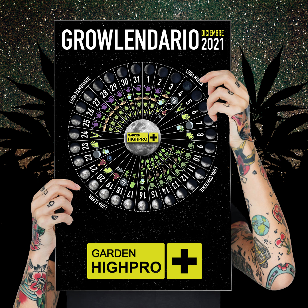 GARDENHIGHPRO's tweet photo. Hey,#Grower!

Disponible YA el último #GROWLENDARIO de este año para descargar #GRATIS en nuestra web🆓 

https://t.co/N3yCfecsxK

Cultiva siguiendo los ritmos de la luna!🌕

#YOCULTIVOCONGROWLENDARIO
#BORNTOBEAGROWER #GARDENHIGHPRO #calendariolunar #calendariodesiembra https://t.co/wWAKQzzMnf
