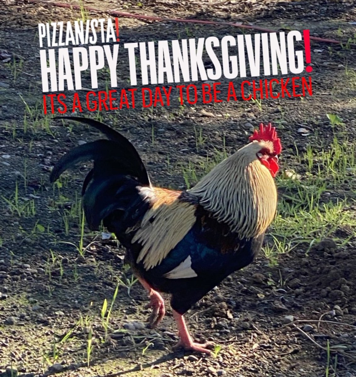 Closed 11.25 &amp; 26 Re Open 11.27 What R U Thankful for?