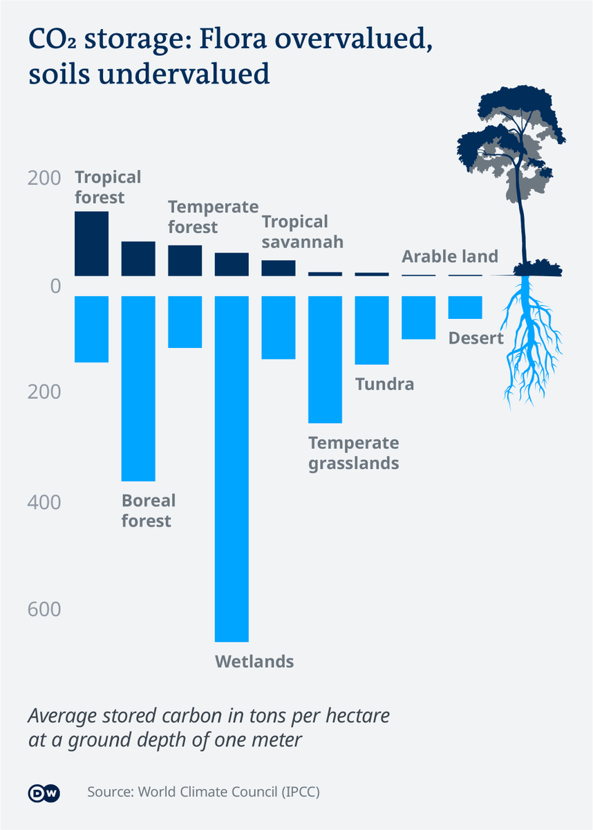 WetlandsInt's tweet photo. Check out how much CO2 wetlands trap and store. They are unsung heroes in battling the #climateemergency. We're working to protect and restore them, who's with us?
📊@dw_environment @michelpenke 
👉https://t.co/V4pBKR1cFO https://t.co/S3xbU0TQUe