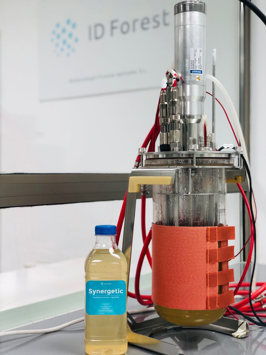 En IDForest utilizamos un biorreactor para producir de forma masiva bacteria facilitadora de la micorrización 🦠. Nuestra bacteria facilitadora está testada en laboratorio 🧬 y en campo 🌳 y es capaz de mejorar la micorrización en un 20%.

#bacteria #biorreactor #micorrización