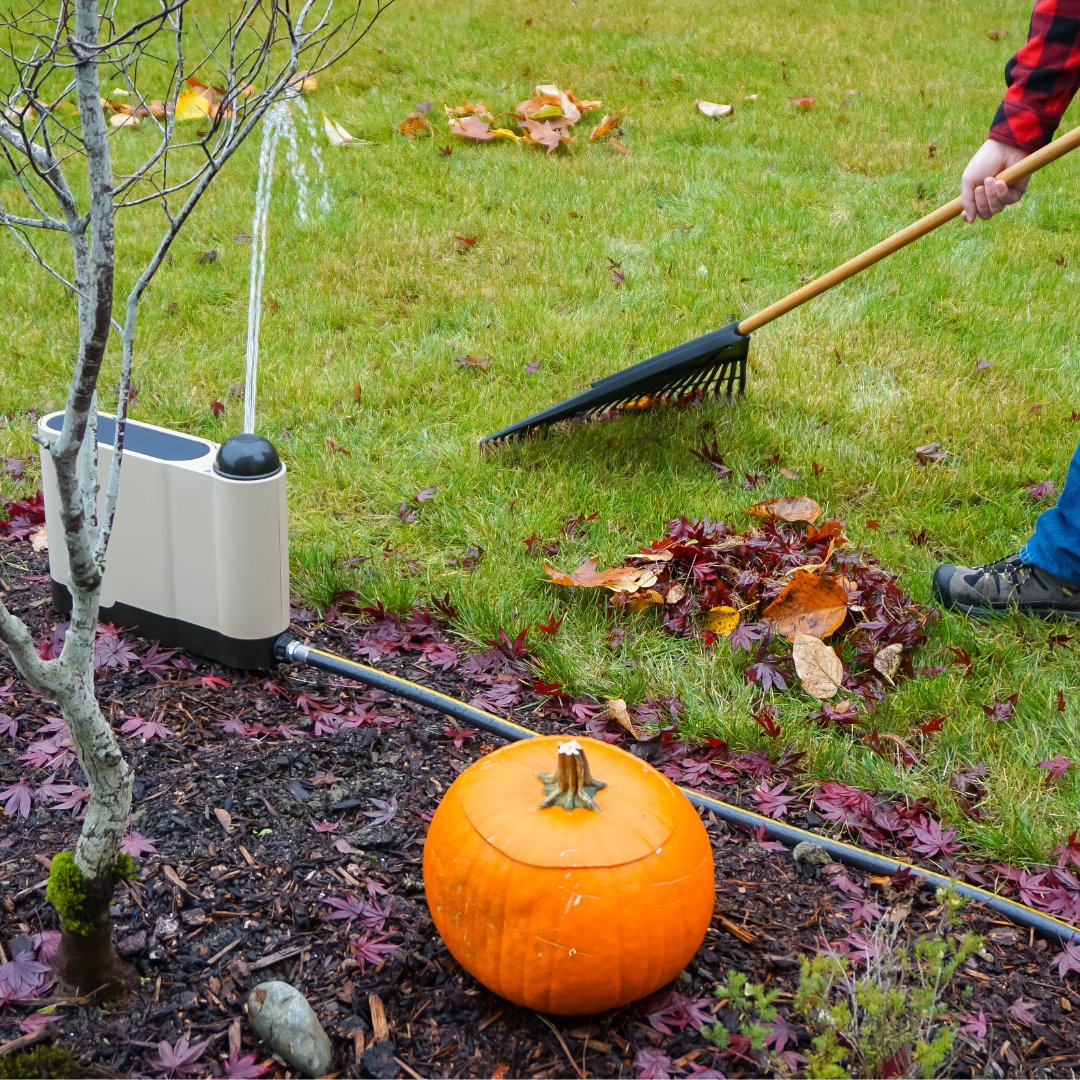 Happy Thanksgiving! May your long weekend be fun, restful and filled with pumpkin pie 🥧
#otolawn #thanksgiving #smarttech #lawncare #smartlawn #smartdevice #lawncarelife #smarthome #smartliving