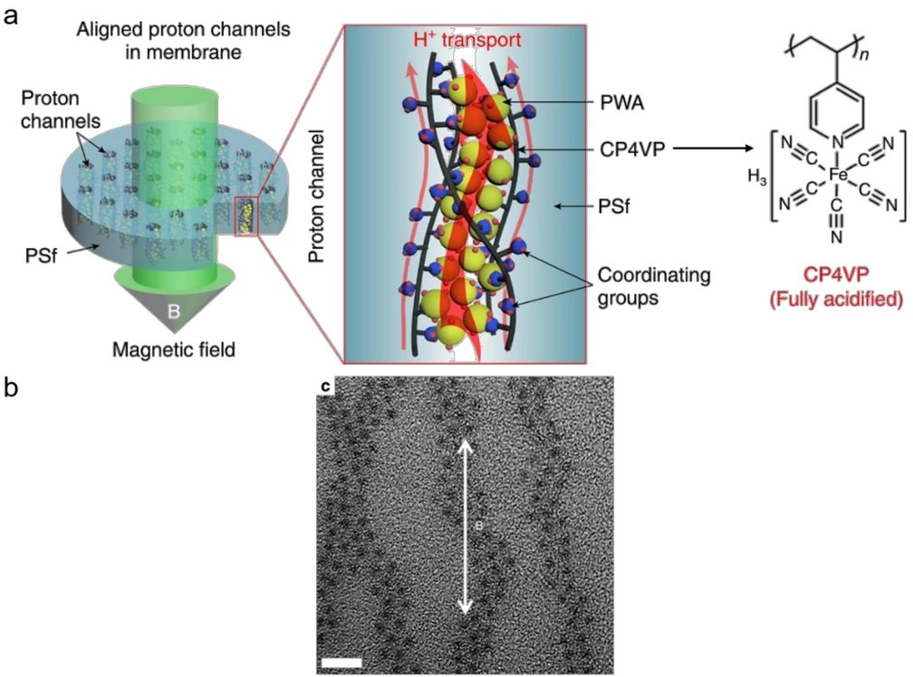 Molecules_MDPI's tweet photo. #HighlyCitedPaper #HighlyAccessedPaper
Polyoxometalate–Polymer Hybrid Materials as Proton Exchange Membranes for Fuel Cell Applications
By Haolong Li, et al.
👉https://t.co/lirHv0dBPX
#polyoxometalate
#hybridmaterials
#polymerelectrolyte
#protonexchangemembrane
#fuelcells https://t.co/64l8nJ3wEh