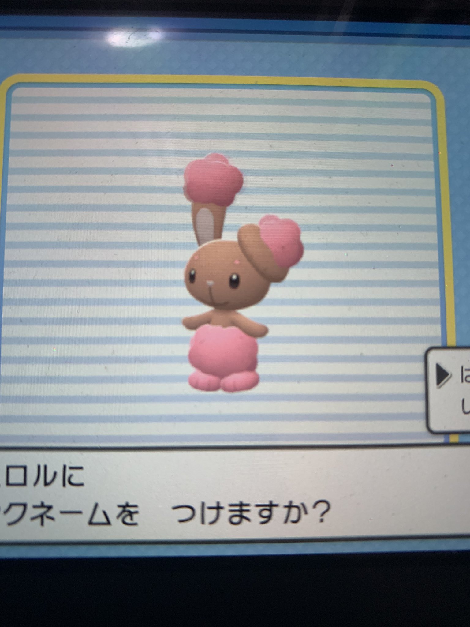 しゃち 趣味垢 Y Twitter