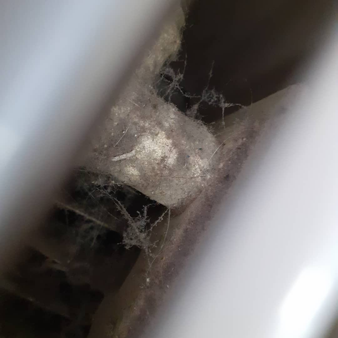 rotarad1's tweet photo. Doctors surgery!

I always presumed the #cleanliness of all health care premises is an important component in the provision of clean and safe care!😷

#dust #hospitals #nhs #radiators #healthcare #doctors #surgery #clean #centralheating #lst #plumbing #germs https://t.co/8Ln3Hd3PXw