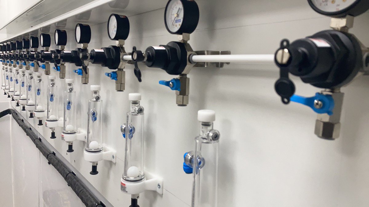 Today’s big job breaking out.👍🍺