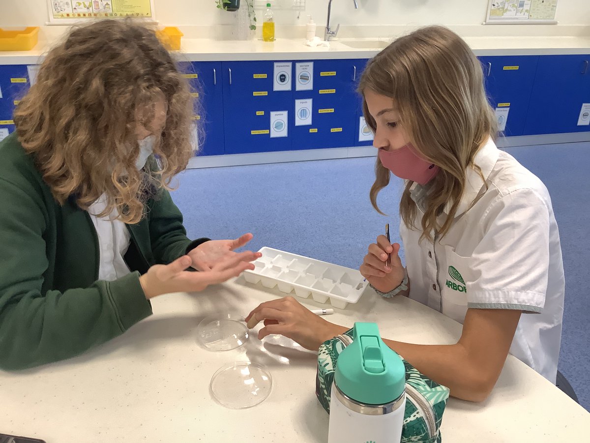 Science | The Arbor School tweet media