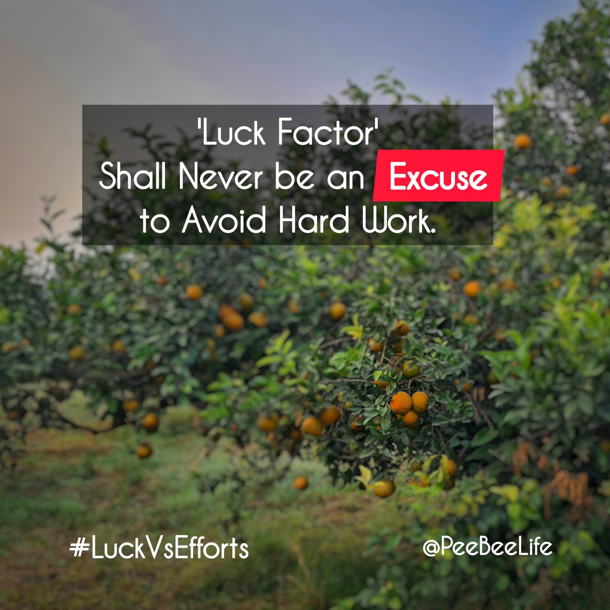 LifePeebee's tweet photo. 'Luck Factor' shall never be an excuse to avoid hard work.
.
.
#luck #lucky #luckvshardwork #luckvswork #workhard #workharder #hopeful #hardwork #hardworkquotes #hardworkpaysoffs #hardships #hardtimes #competitions #competitiveexams #competeharder #topperstalk #toprank https://t.co/nY9x0JRYPv