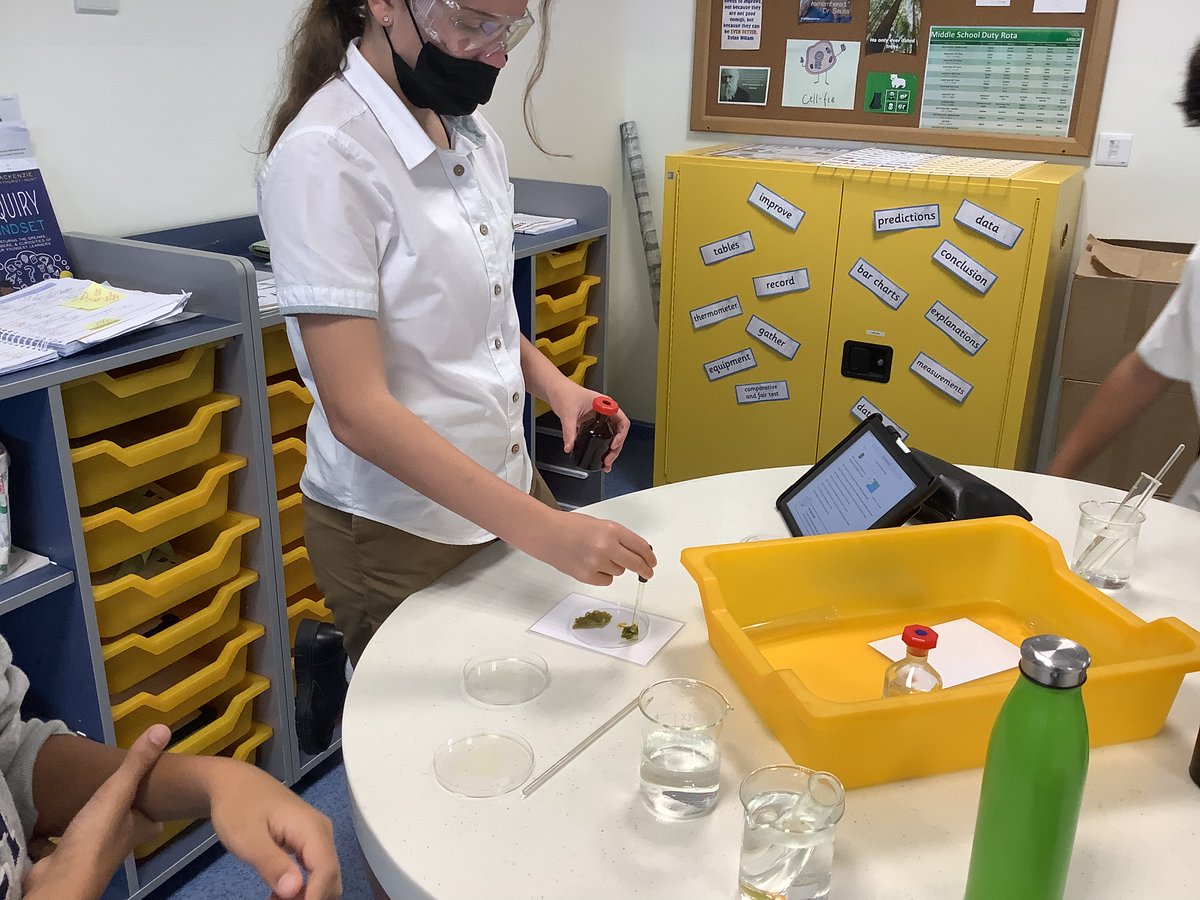 Science | The Arbor School tweet media