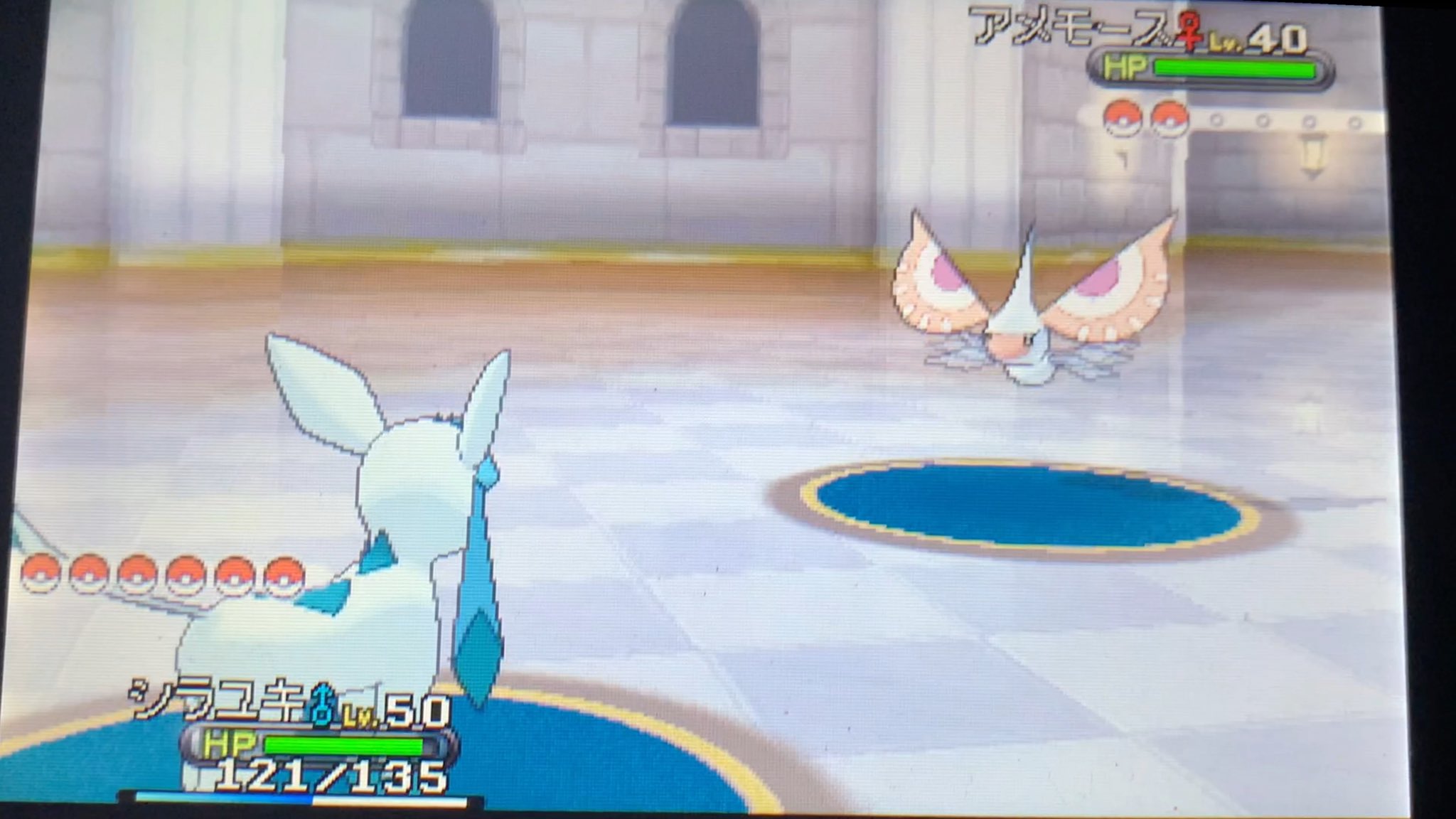 ポケモンｘy Twitter Search Twitter