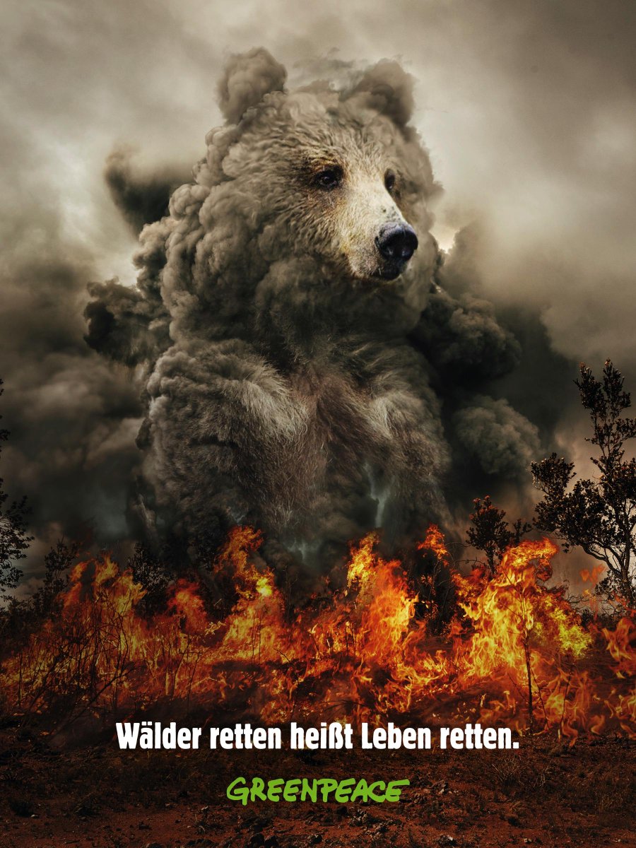MiguelAngelddl's tweet photo. "Salvar bosques significa salvar vidas".
El drama de los incendios forestales, que diariamente afecta a miles de especies de animales y plantas. Y cuando no, también vidas humanas.
#creatividad
#greenpeace #FelizJueves https://t.co/hgj4tUWKip