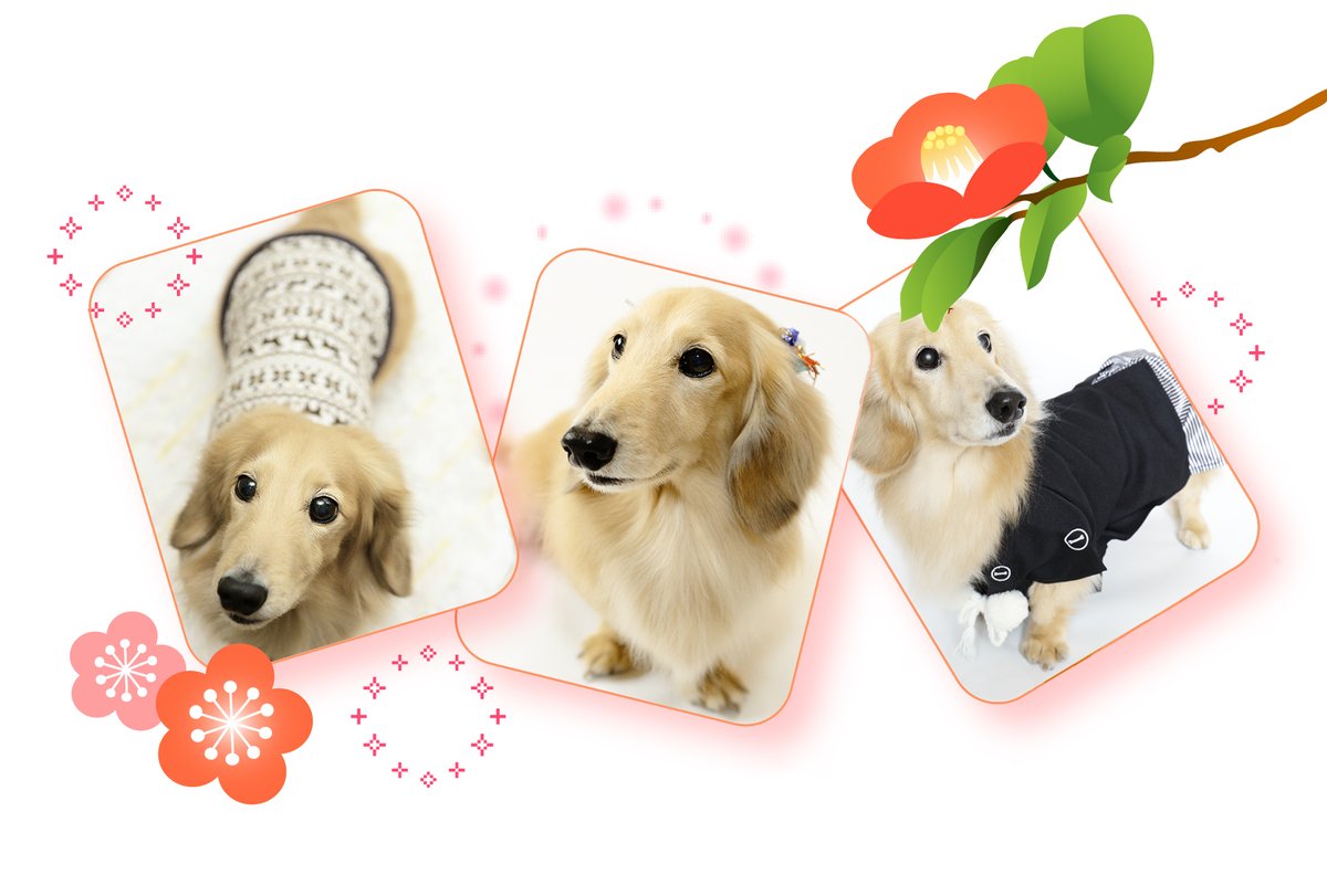 GrandPrixEyes tweet media