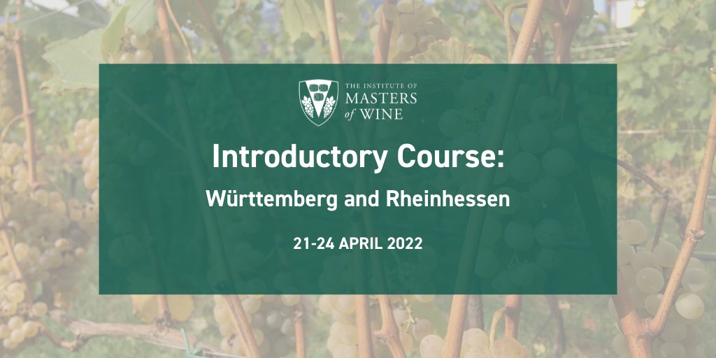 HELLO GERMANY! We’ve teamed up with VDP.Die Prädikatsweingüter to organise an intro course in Württemberg and Rheinhessen. Led by MWs, the course will explain the MW approach to the exam and focus on the skills required to become an MW bit.ly/3DRwXGB #mastersofwine