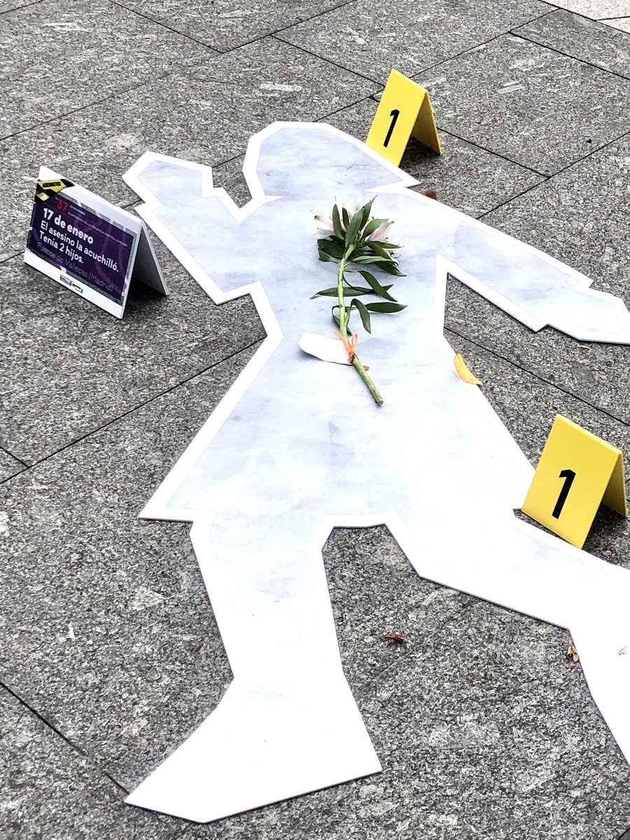 AMPROSCantabria's tweet photo. Hoy, en el Día Internacional por la eliminación de la violencia contra las mujeres, desde AMPROS colaboramos con el Ayto. de  #Santander en su acto conmemorativo. Nuestras flores #alstromerias recuerdan y honran a las víctimas. #25N https://t.co/7rC6la7ju4