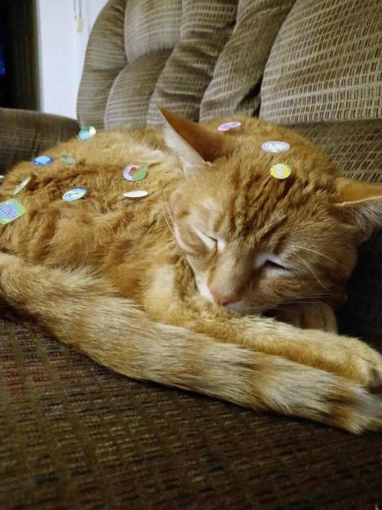 MeowMix_89's tweet photo. @TannerLovesTRo https://t.co/gEbK1VJoiF