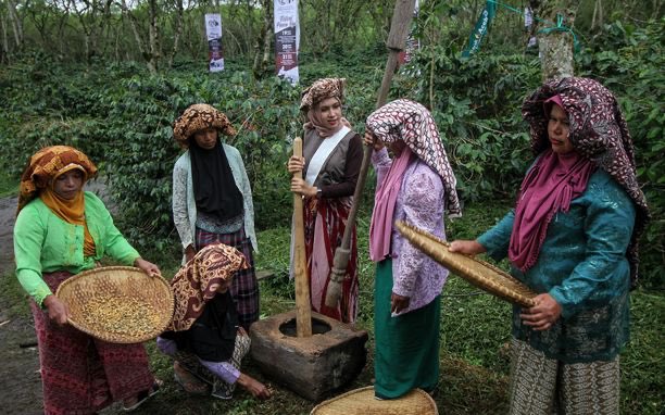 Kahvi kallistuu ja sen maku uhkaa huonontua – miten käy suomalaisten suosikkimerkille?
Sään ääri-ilmiöt ja koronaviruspandemia ovat suurimpia syitä hintojen nousulle. Meillä ⁦@Pauliggroup⁩ illa laadusta ei tingitä.  iltalehti.fi/ulkomaat/a/aa2…