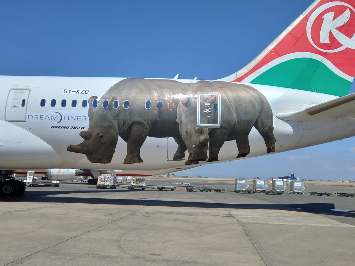 "Kenya Airways has a zero-tolerance policy against Illegal Wildlife Trade and has long supported wildlife conservation efforts with an aim to promote better protection of endangered wildlife and reduce demand for illegal wildlife products,” GMD &amp; CEO <a href="/Kilavuka/">Allan Kilavuka</a> #LiveTheMagic