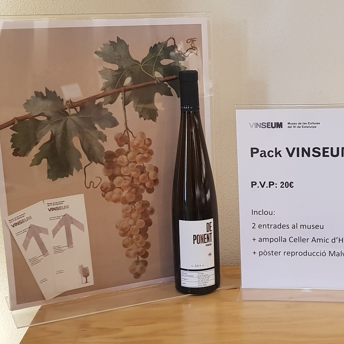 vinseum's tweet photo. Fins el 29 de novembre, el #cellerdelaquinzena és @1mes1fan3  
Quan visiteu el museu tastareu una copa del seu vi #blanc  #deponent en acabar la visita.
També trobareu els seus vins a la nostra botiga.

#packvinseum
#vicatalà https://t.co/NRn85xT9IQ