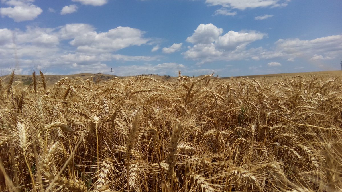 zoreski's tweet photo. #Macedonia #OvcePole https://t.co/nPj4spuIX0