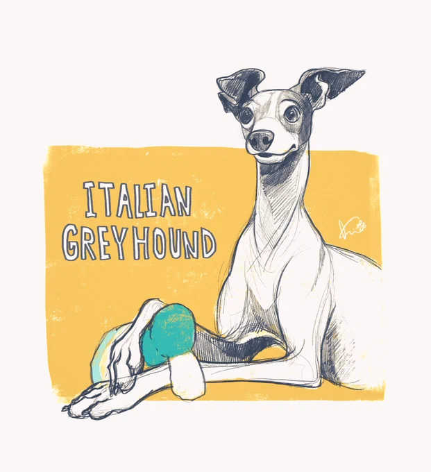 息抜きに愛犬をスケッチしました。 