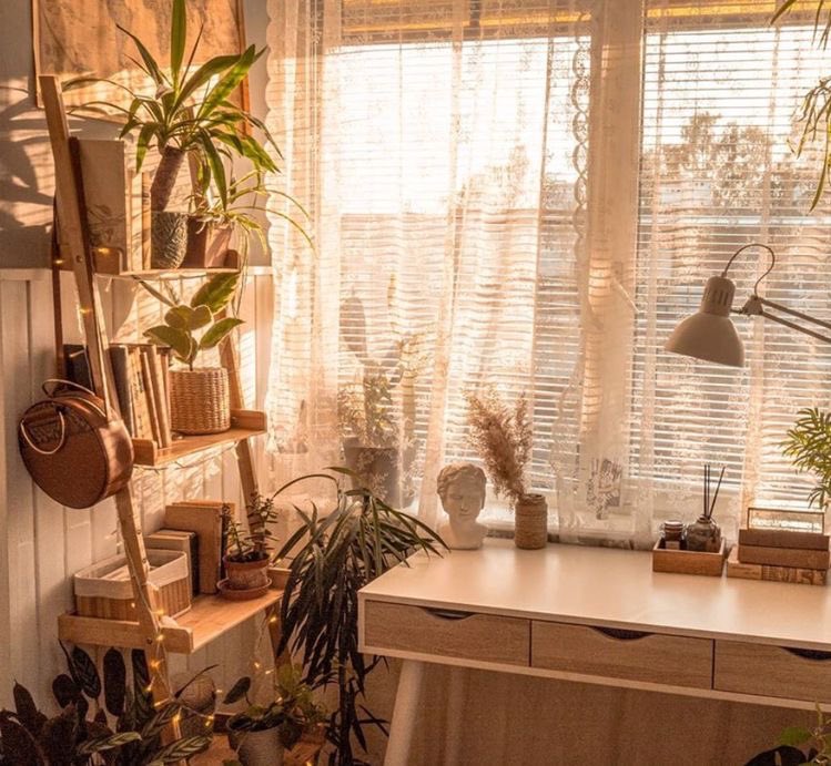 softwhitecloud's tweet image. 