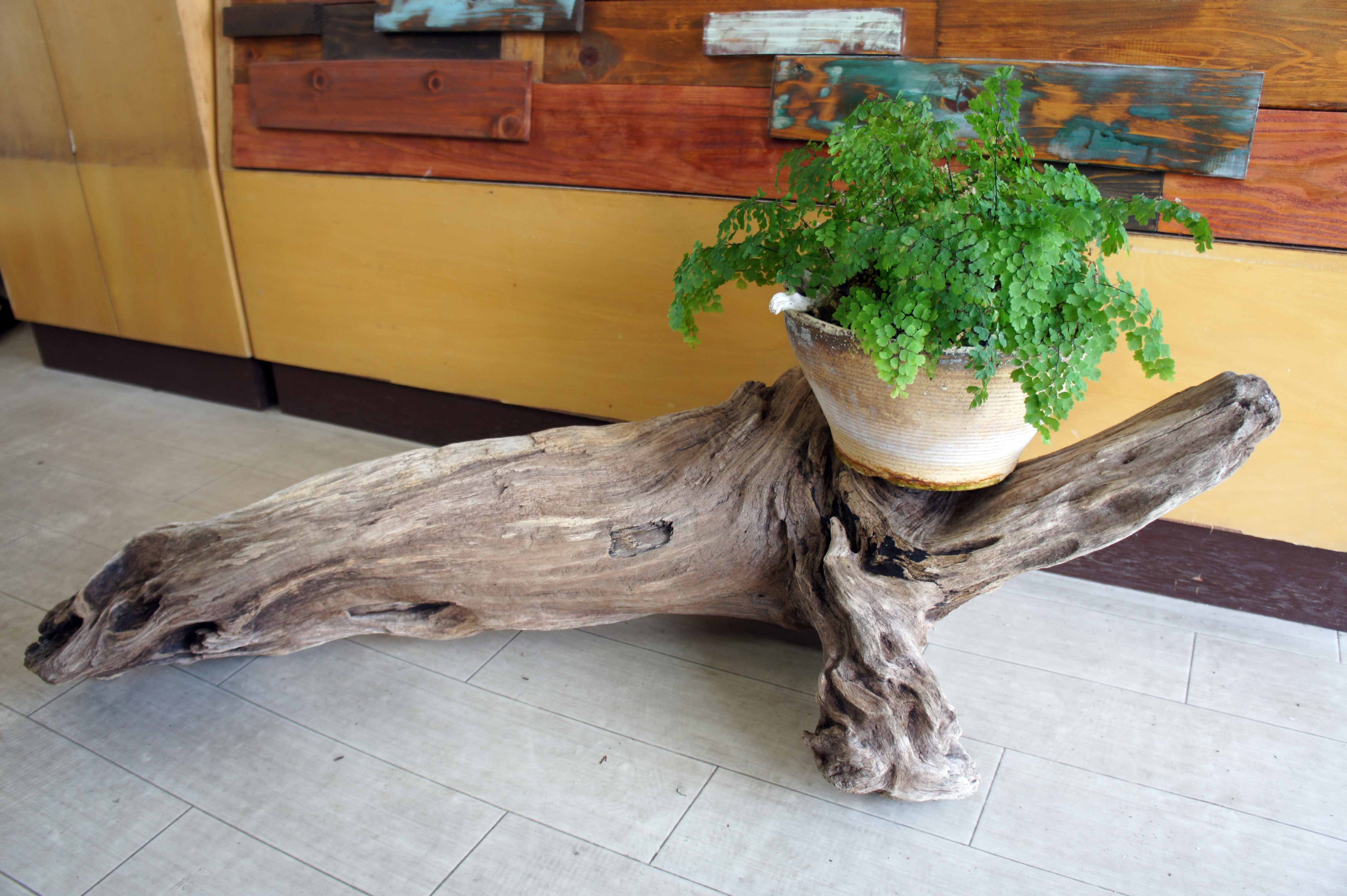 Wood Drops インテリア 流木 雑貨 リフォーム ガーデニング アート ｄｉｙ オブジェ カフェ おしゃれ ナチュラル キャンプ リビング デザイン ハウス シンプル アウトドア 観葉植物 ダイニング T Co Lvxyyualcv Twitter