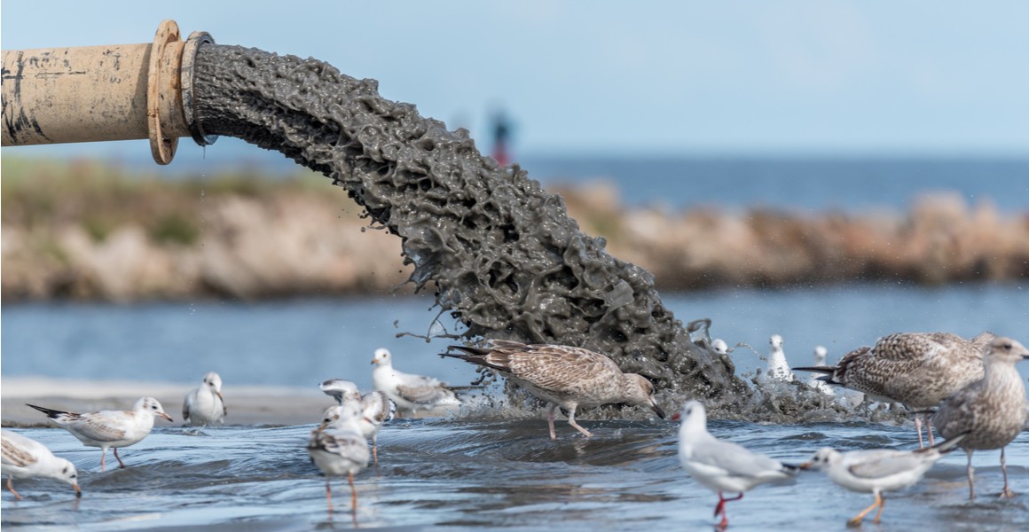LewisPughFDN's tweet photo. Last year, raw sewage was dumped onto English and Welsh beaches 2900 times.

That number has now almost doubled, with raw sewage gushing onto English and Welsh beaches 5157 times this year. This is a very dangerous trajectory.

https://t.co/FbQNUXgnHI https://t.co/NyEz3qnvH3