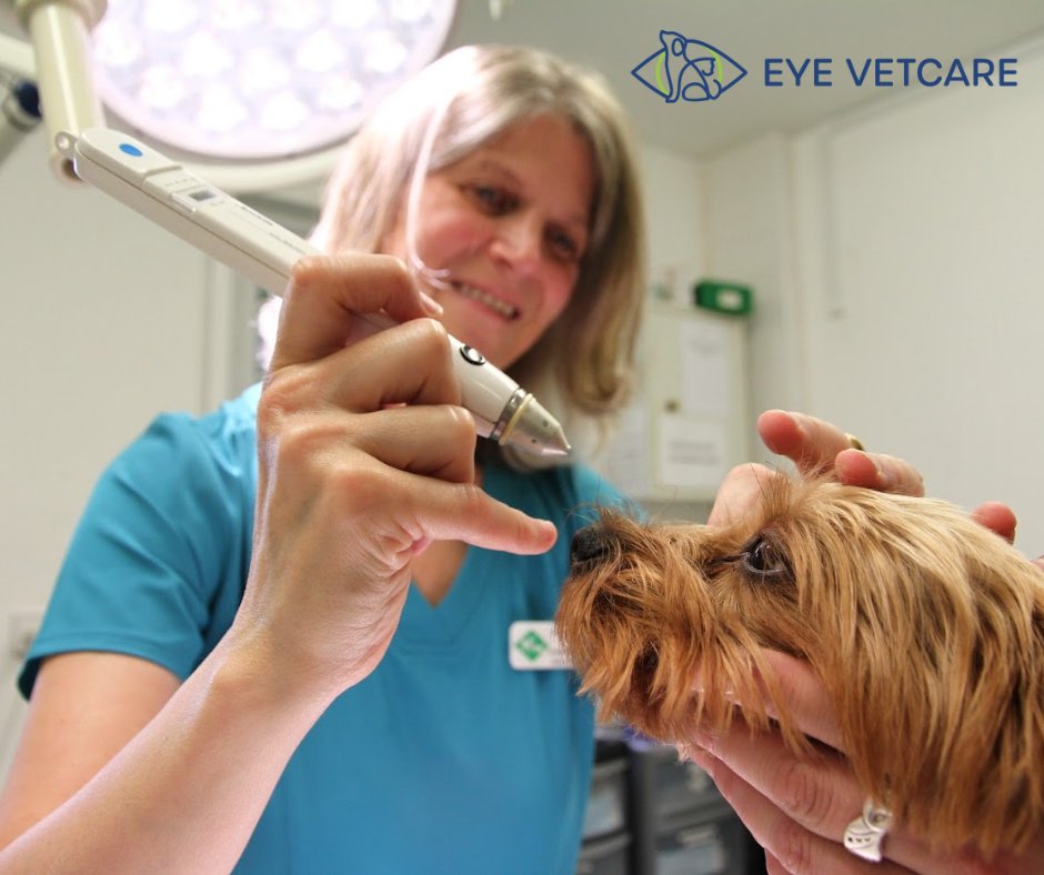 Introducing Eye Vetcare, a dedicated ophthalmic referral service providing exceptional eye care for pets in the South East. 

Our team will take the greatest care of your pet and provide the best ocular treatment with compassion and professionalism.

eyevetcare.co.uk
