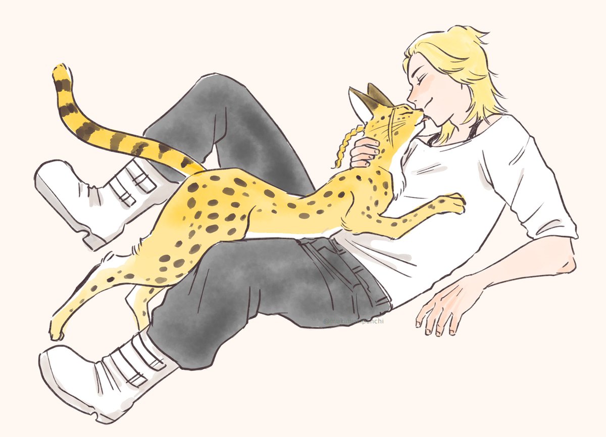 ドラ猫とマイキ〜🐱🐾 