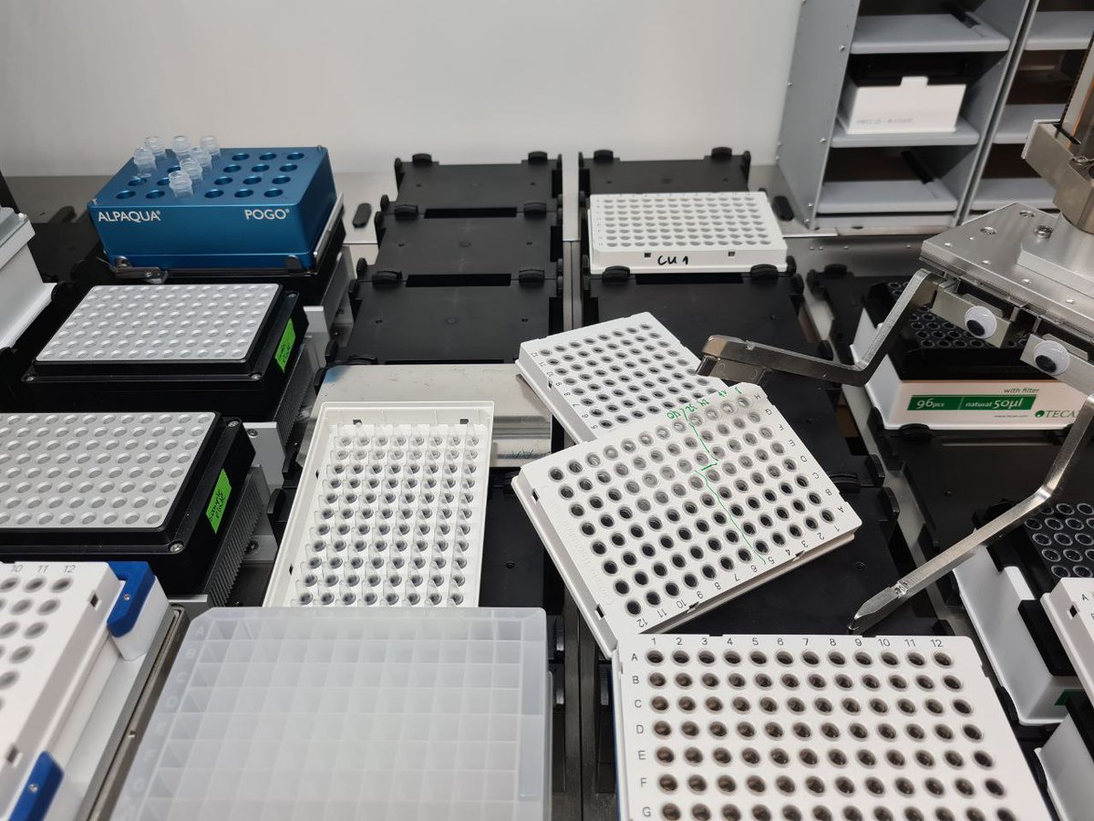 mrsquooriosity's tweet photo. Upsi..... 😅

#labfail #ngs #libraryprep #test #programming #genomics #fluent #RGA #doagain https://t.co/hEzJJ2drMP