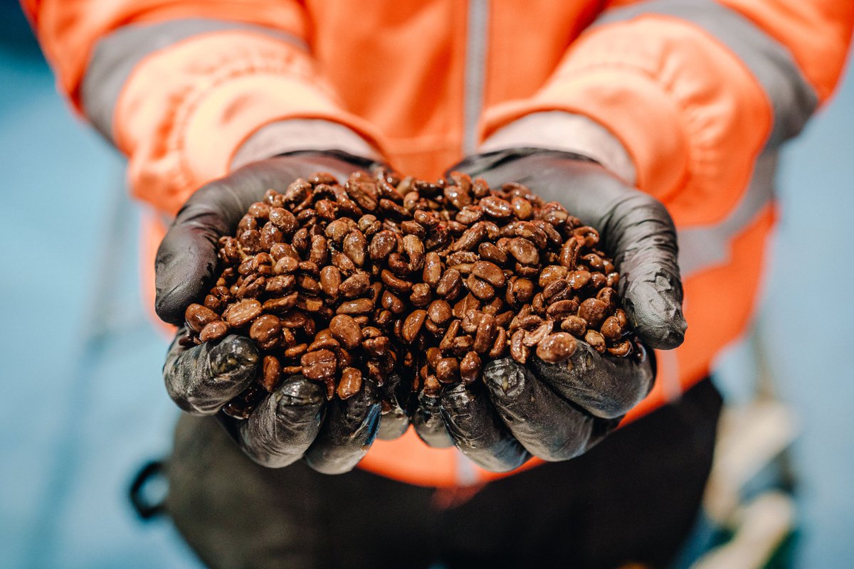 Our collab with <a href="/brick_brewery/">Brick Brewery SE15</a> is ready! Last step was the dry hop with <a href="/LomondCoffee/">Lomond Coffee</a>.

They're an all female specialty coffee roasters from SE London and we’re really excited to be using their coffee for the first time in a beer!

Launches tomorrow at @HighHillE17.