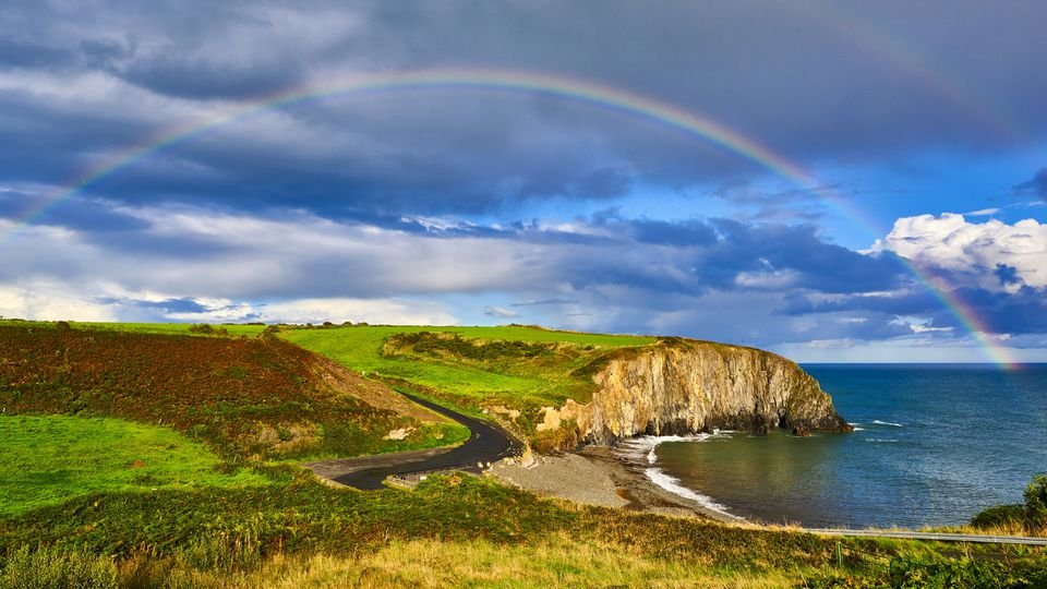 Ireland Today tweet media