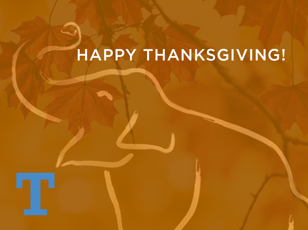 TuftsUniversity's tweet photo. Happy Thanksgiving, Jumbos! 🐘💙 https://t.co/12Bhwa1l64