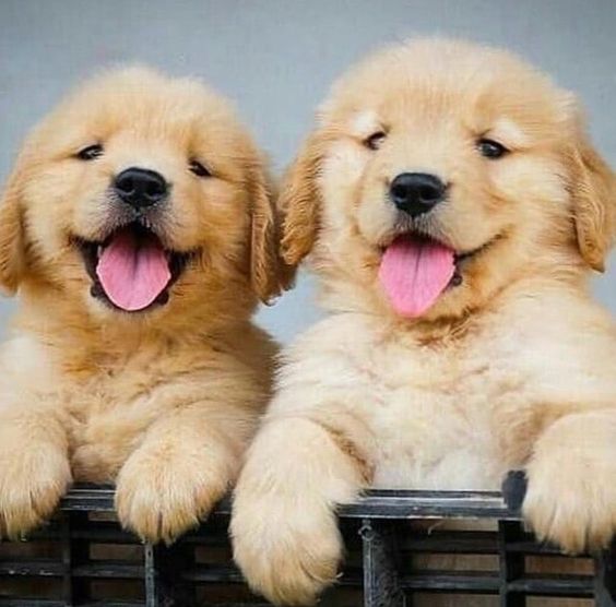 Mehdi_Flowbox's tweet image. 