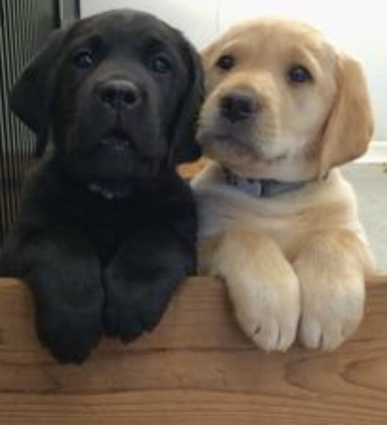 Mehdi_Flowbox's tweet image. 