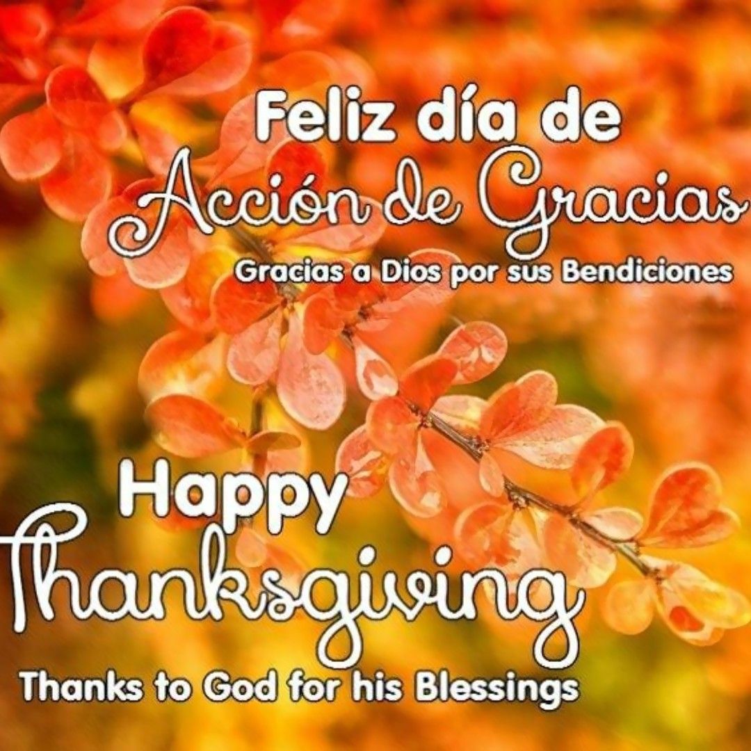 Nan_8129's tweet photo. Happy thanksgiving everyone and God bless America. 🌠🌠🌠 https://t.co/DhNOrwiI15 https://t.co/jljW0lC7VQ