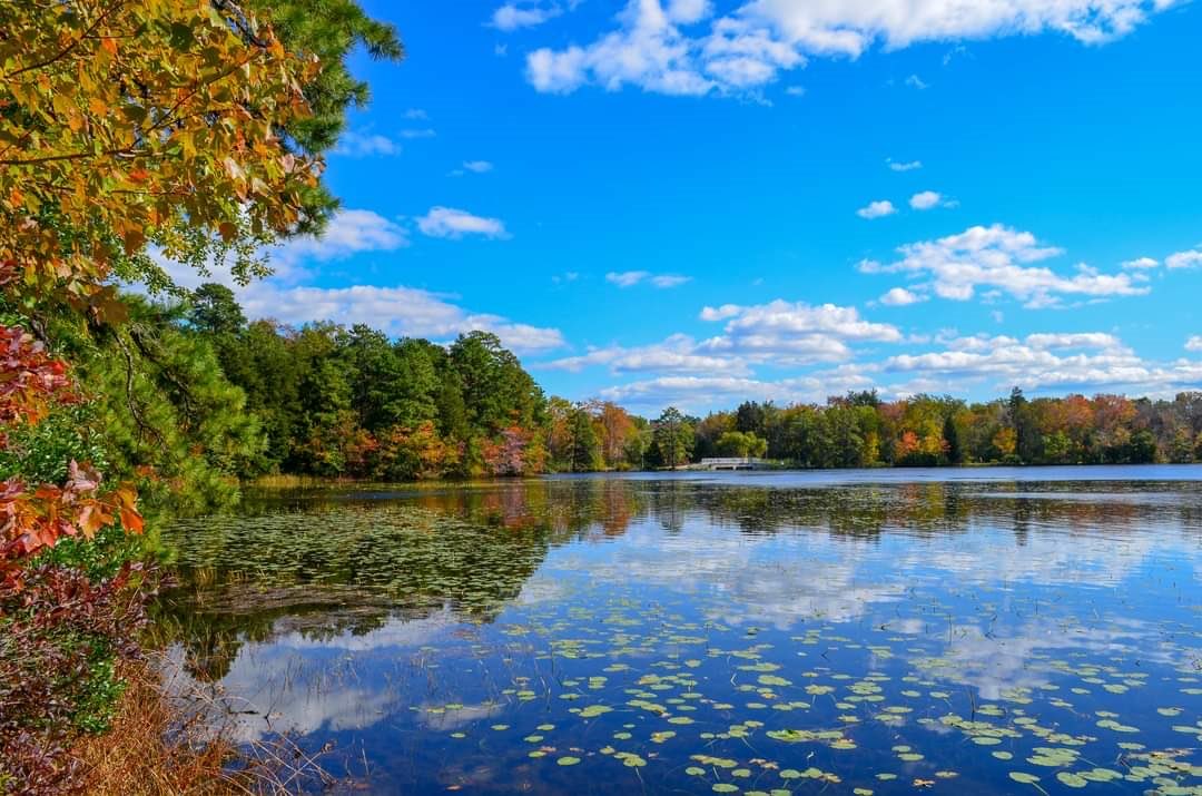 Stockton_Alumni's tweet image. What are you thankful for this year, Stockton alumni? #stocktonalumni