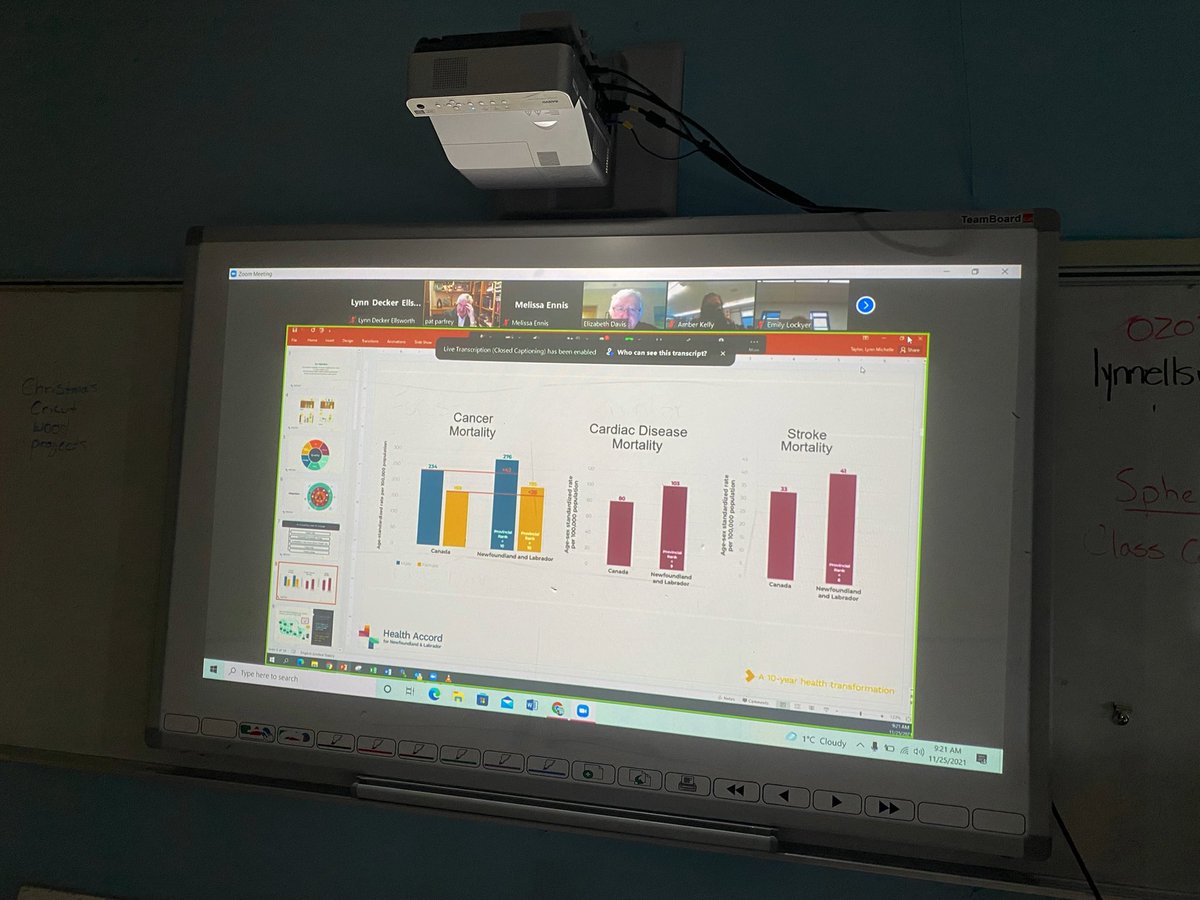 HGFA Cougars tweet media