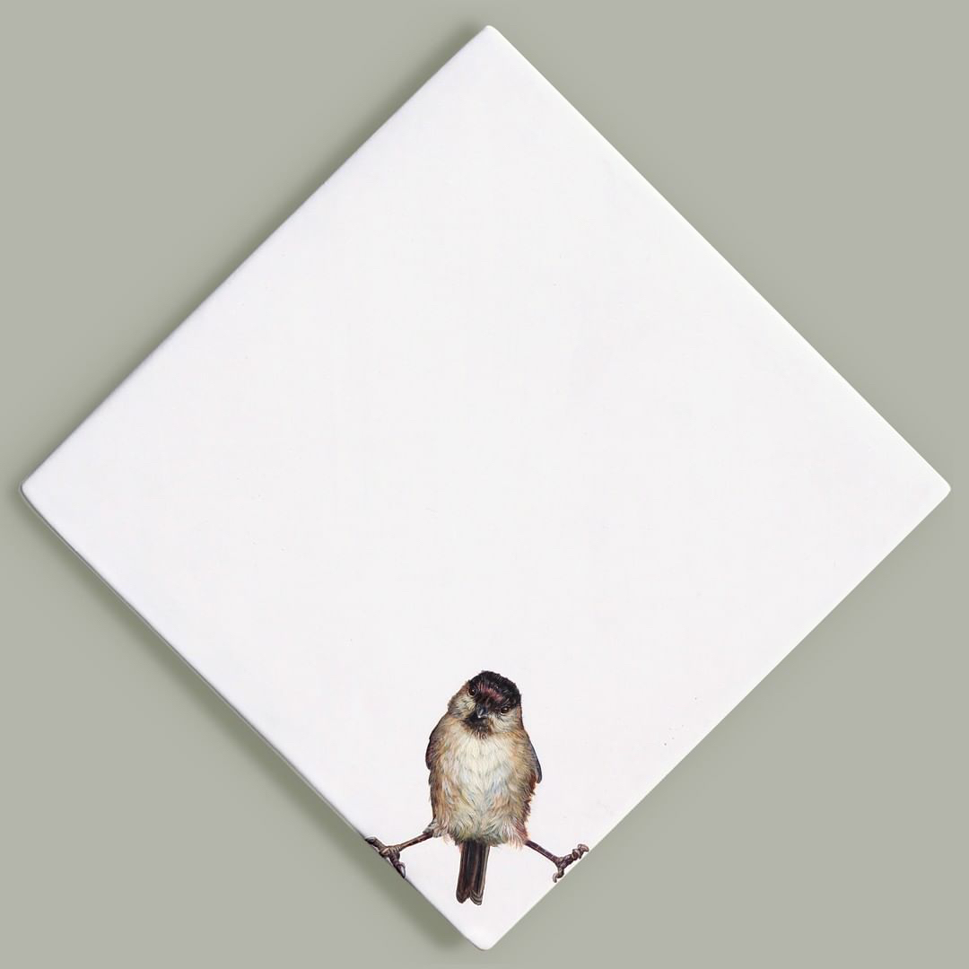 HelloMeanwhile's tweet image. Some beautiful new work by @HazelMountford showing at @quantumcontemporaryart Christmas Show.

&quot;I was inspired by the ambitious &apos;Back from The Brink&apos; conservation project which aims to save twenty of our most endangered species. More about their work can be see @NatureBftB &quot;