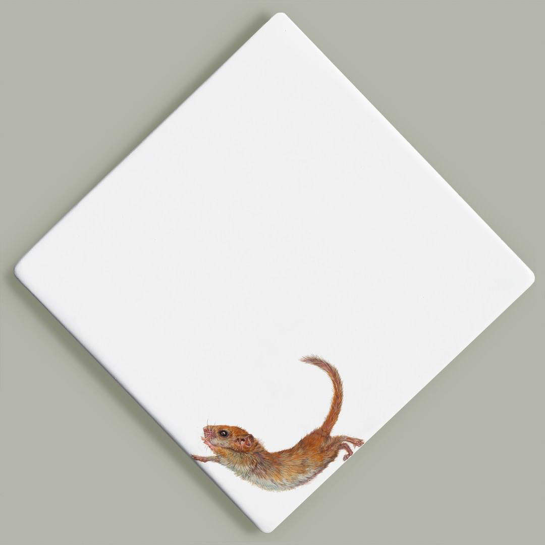 HelloMeanwhile's tweet image. Some beautiful new work by @HazelMountford showing at @quantumcontemporaryart Christmas Show.

&quot;I was inspired by the ambitious &apos;Back from The Brink&apos; conservation project which aims to save twenty of our most endangered species. More about their work can be see @NatureBftB &quot;