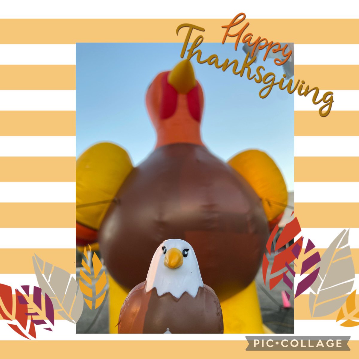 kmevans3's tweet photo. Squeagle @CitrusGrove_VCS sending his Thanksgiving message with a little help from a friend. Today and each day, there is always something to be thankful for. #cgeeagles #foundafriend #squeagleadventures #ThankfulThursday https://t.co/x8w18T7QS4