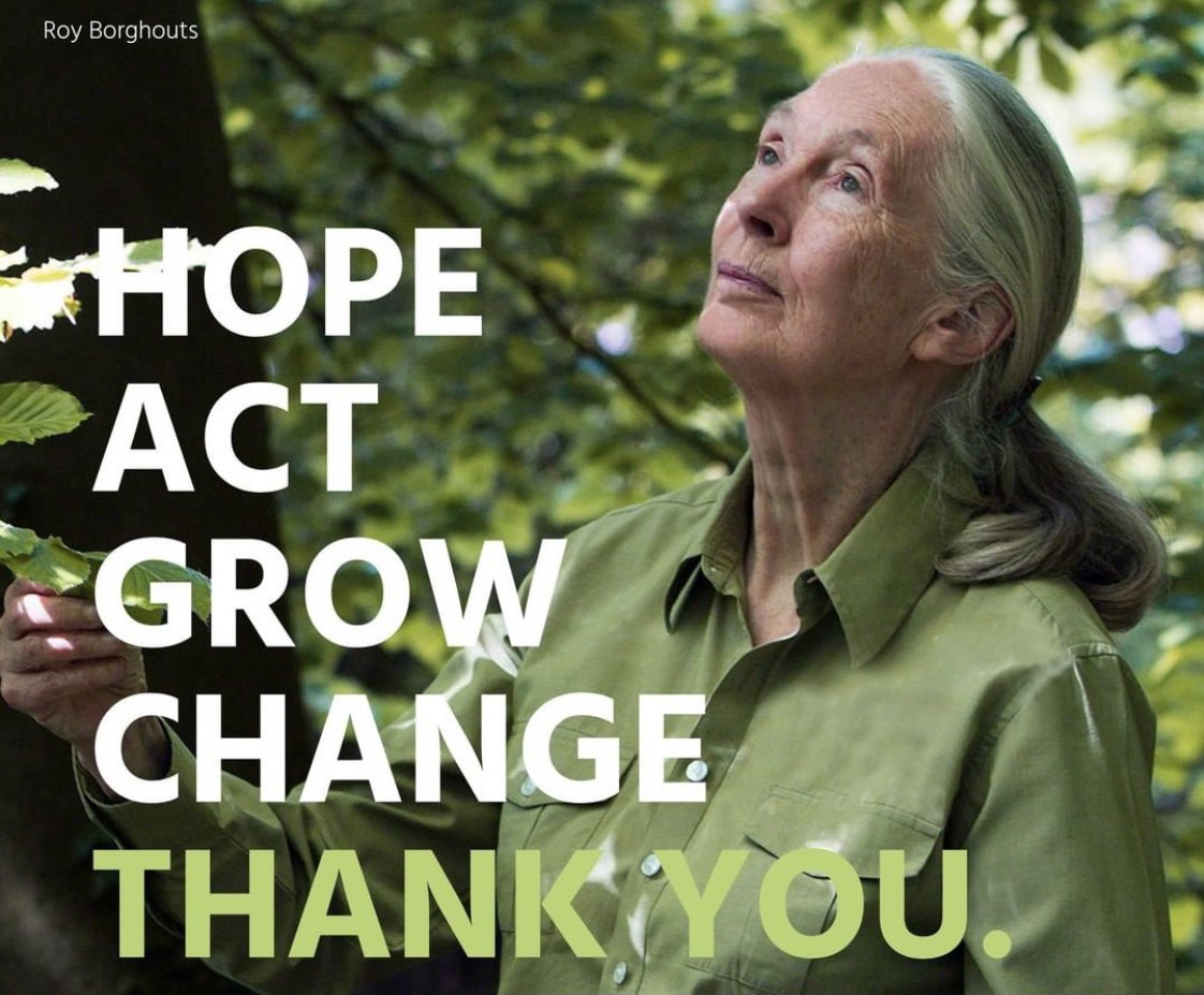 JaneGoodallInst's tweet image. Thank you - each and every one of you in our JGI family who give us hope by taking action to build a better world for all - helping turn Jane’s vision into a reality so that people and other animals can live harmoniously with the natural world today, and tomorrow. 🦋