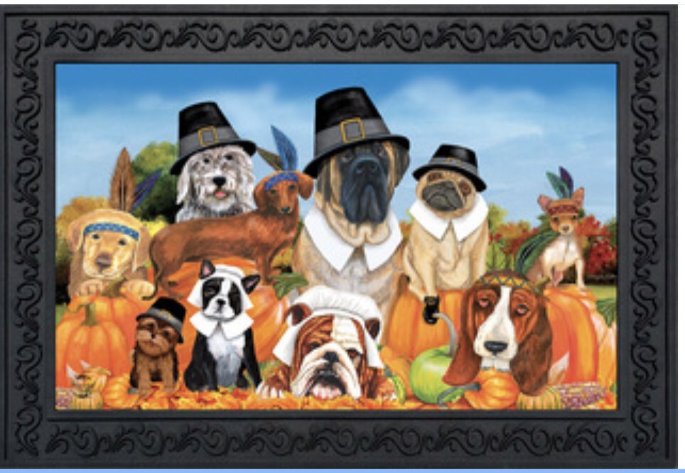 Moo’s Angels Pet Care tweet media