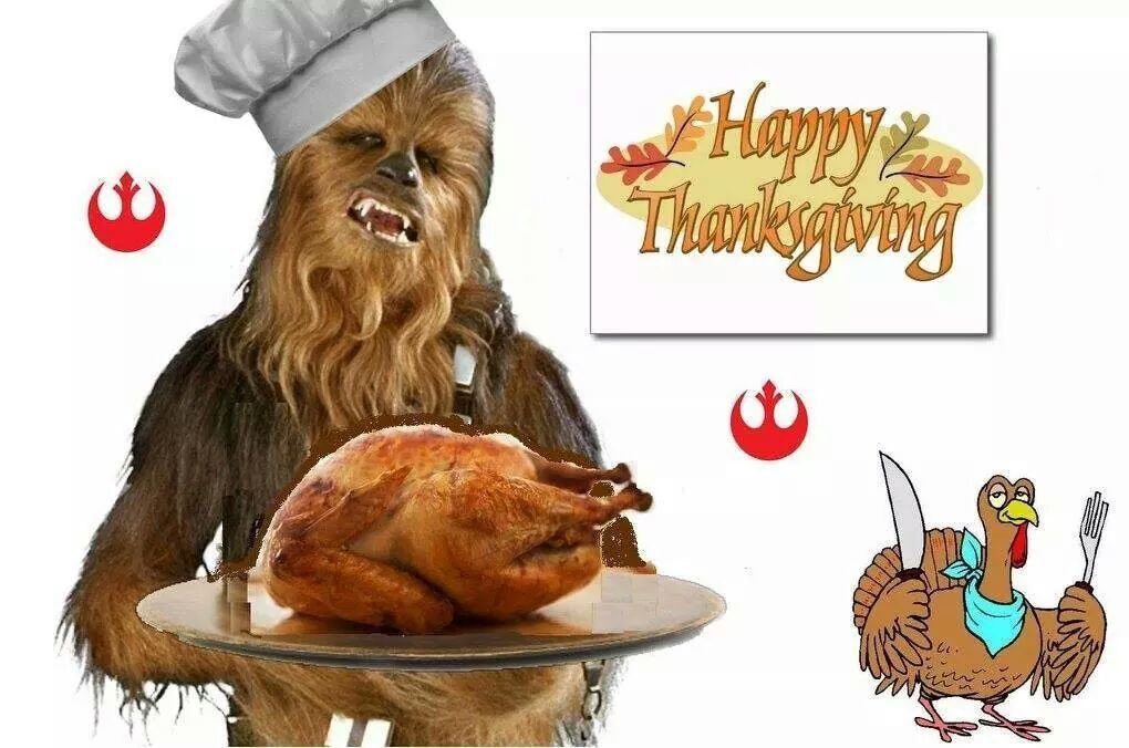 DevaronBaseRL's tweet image. Happy Thanksgiving from Devaron Base! 🦃🍽

#rebellegion #devaronbaserl #happythanksgivng #happyturkeyday