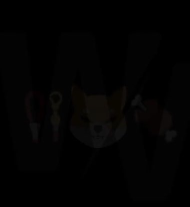 waltthewhale's tweet photo. Why does the “WV” mean in that $shib video? https://t.co/ZYQP3Cfna4