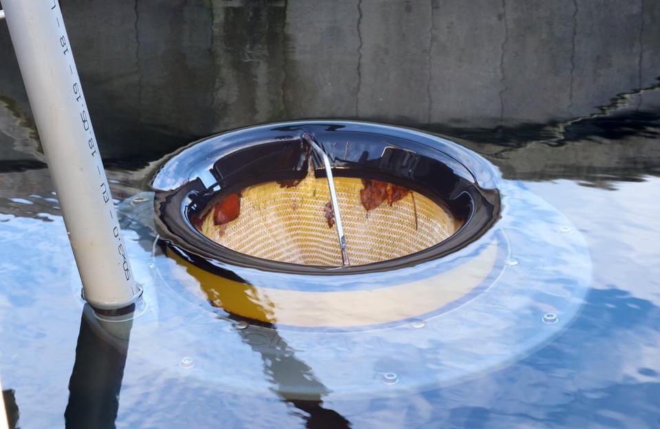 MilesCarden30's tweet image. Good day in @HarbourFalmouth launched new @Seabin_project 
Cornish rower @collins_bella + PlasticFree #Falmouth&apos;s Cllr Kirstie Edwards unveil new device, skimming plastics from the water in @FalmouthHaven Thanks @paddlelogger 💷 for #innovative #plastic guzzler
#AtlanticGateway