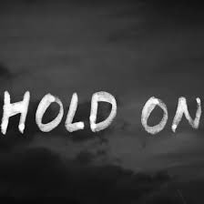 Zero order hold. Hold картинка. Hold on. холд он. Hold on.