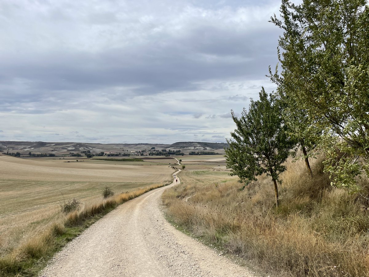 Pilgerurlaub's tweet photo. In der Nähe von Hornillos del Camino, 463km vor Santiago #ichmagkeineHashtags https://t.co/jaIb9hBDJb