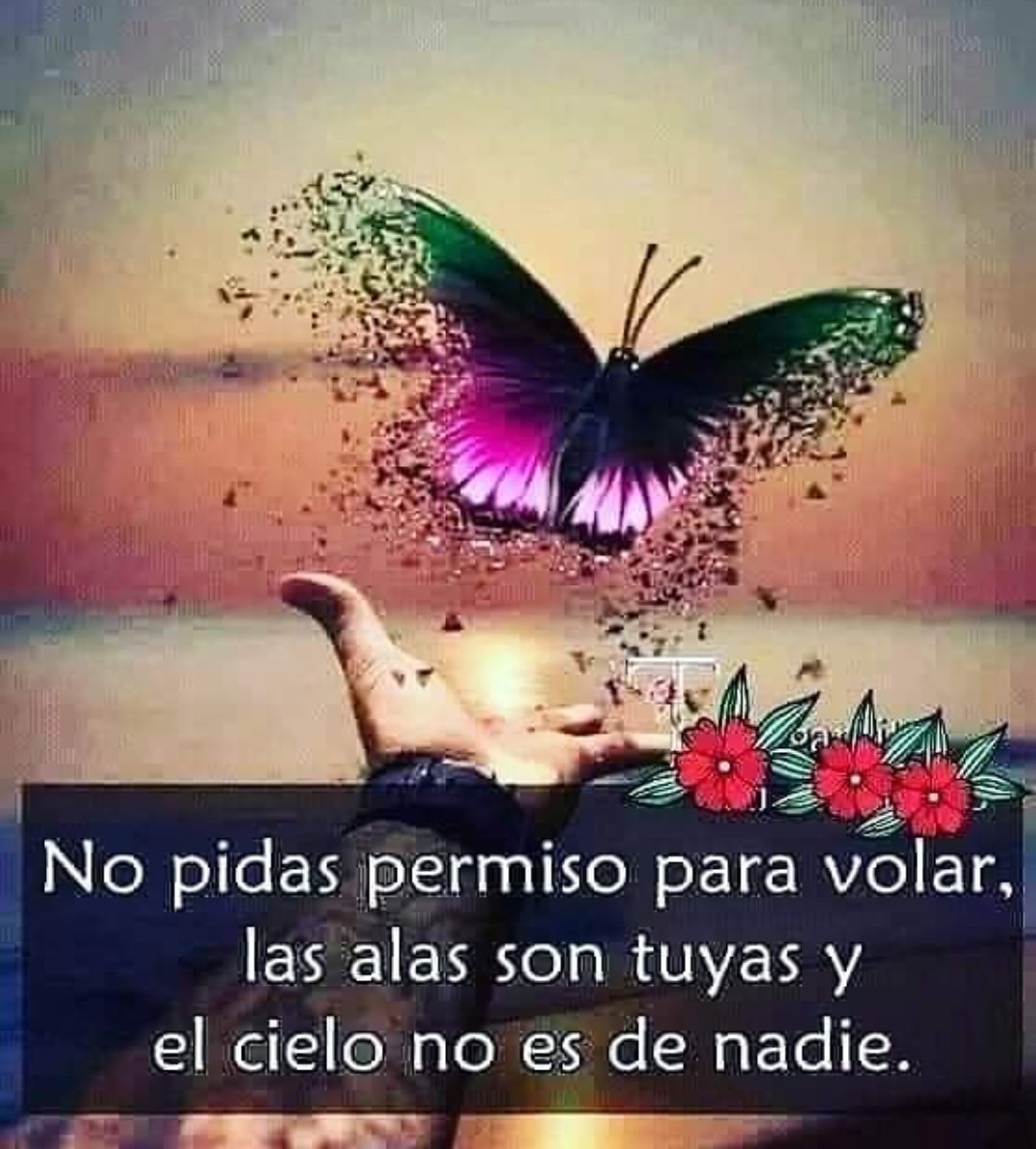 Margareth70 🎭💫🇭🇳 (@margareth701) on Twitter photo 